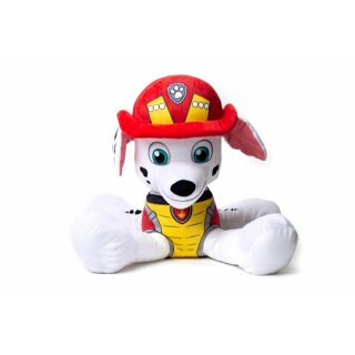 PawPatrol